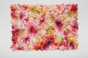 Chun Kwang Young