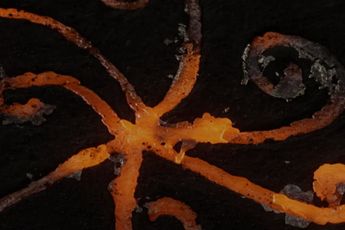 Contemporary art exhibition Solange Pessoa Funduras at Mendes Wood DM Sao Paulo Brazil