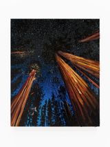 Humboldt Forest by Alexis Rockman contemporary artwork painting