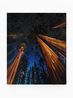 Humboldt Forest by Alexis Rockman contemporary artwork Painting
