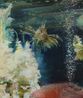 Pterois Volitans by Adrienne Gaha contemporary artwork Painting