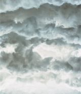 Forces 13 by Sonja Braas contemporary artwork photography print