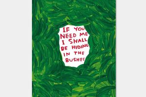 David Shrigley