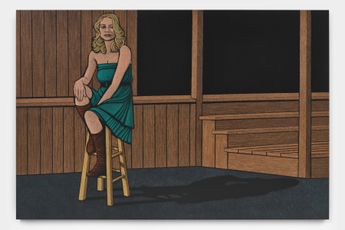 Contemporary art exhibition AMY ADLER Audition at Night Gallery Night Gallery North United States