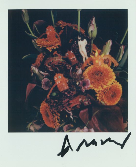 Untitled, 2024 by Nobuyoshi Araki, Polaroid, 10.8 x 8.8 cm