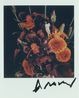 Untitled by Nobuyoshi Araki contemporary artwork Photography
