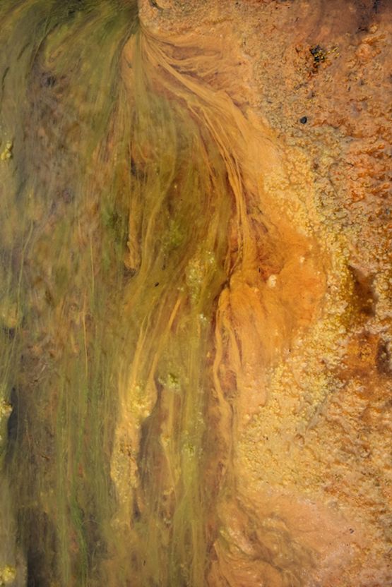 Untitled from the series WATER by Jitka Hanzlova contemporary artwork Photography