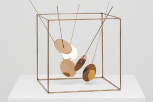 Lygia Pape