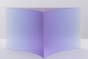 Song Dong