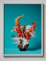 The Redhead Aloe Aloe sp. by Ann Shelton contemporary artwork photography