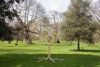 In Remembrance of the coming alien Alienor by Dominique Gonzalez-Foerster contemporary artwork Sculpture