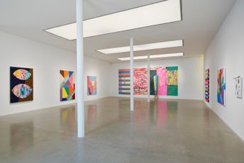 Contemporary art exhibition Sarah Cain Wild Flower at Timothy Taylor London United Kingdom