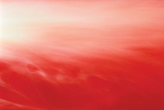 Bloodscape X Bodily Fluids by Andres Serrano contemporary artwork Photography