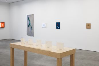 Contemporary art exhibition Jose Leonilson Leonilson at Lisson Gallery 504 West 24th Street New York United States