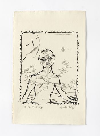 Untitled Flora Danica by Pierre Alechinsky contemporary artwork drawing painting works on paper