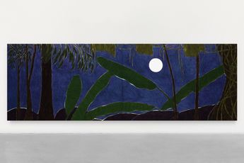 Contemporary art exhibition Patricia Leite Paisagem De Lenda at Thomas Dane Gallery London United Kingdom