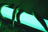 Psychophysik by Lothar Baumgarten contemporary artwork photography print