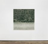 PALMAS DE CERA WAX PALM TREES by Ana Gonzalez contemporary artwork photography print