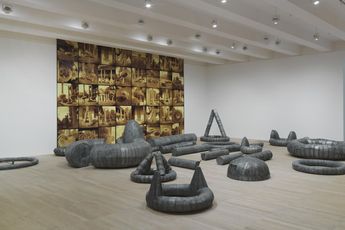 Ana Lupas contemporary artist