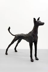 Large Podenco Hound by Barry Flanagan contemporary artwork sculpture