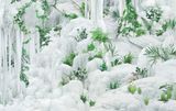 Listed Honesty by Won Seoung Won contemporary artwork photography