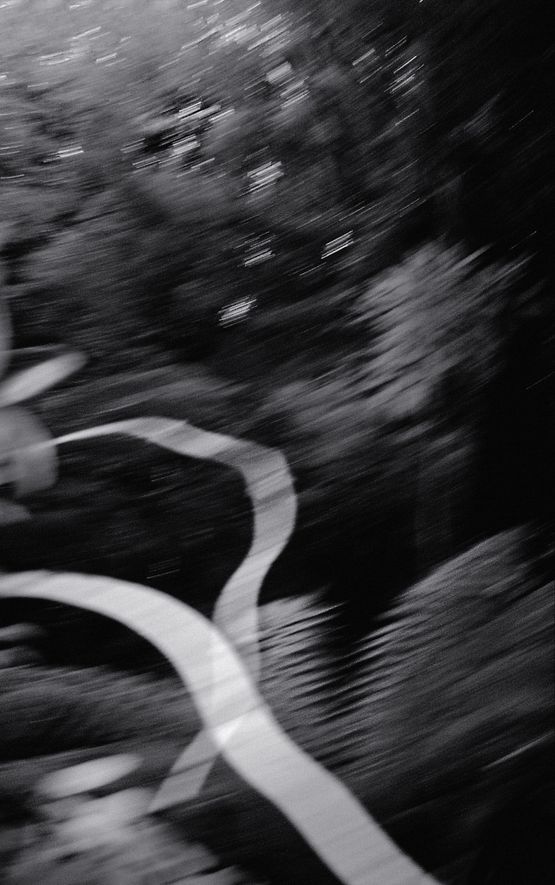 Nocturnal Assembly 16 by Anne Noble contemporary artwork Print