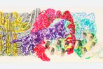 Nancy Graves contemporary artist
