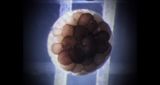 The Possibility of Random Expression III III by Li Shan contemporary artwork moving image