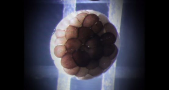 The Possibility of Random Expression III III by Li Shan contemporary artwork Moving Image