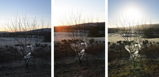 Ice Wedged between branches of a hazel tree Dumfriesshire Scotland 8 January 2018 by Andy Goldsworthy contemporary artwork Photography
