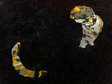 In Extremis No.7 No.8 by Zhao Zhao contemporary artwork installation