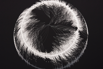Contemporary art exhibition Tiziana Alocci Emotional Geography at Unit Online Only United Kingdom