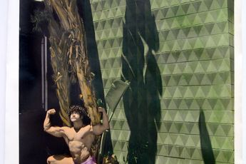 Contemporary art exhibition Elaine Stocki The Palms at Thomas Erben Gallery New York United States
