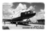 WHAT IS IT WHERE IS IT FLYING by Wang Guofeng contemporary artwork photography