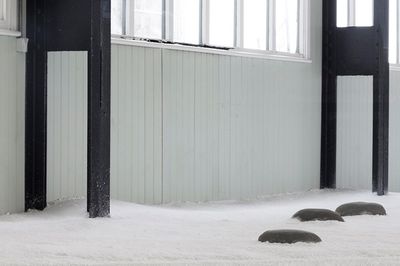 21st Biennale of Sydney