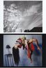 It Was Once Paradise by Nobuyoshi Araki contemporary artwork Photography