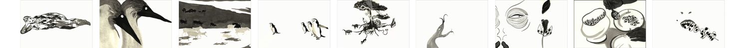 Origin of Species_Ink Book 3 by Liu Yi contemporary artwork Moving Image