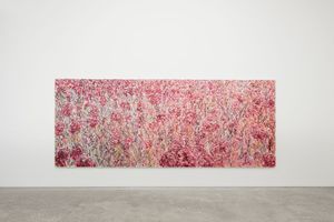 Jiwon Kim