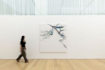 Contemporary art exhibition Xiyao Wang Wingless Shadow at Tang Contemporary Art Seoul South Korea