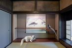 Every Encounter Treasured Obai-in Kyoto by Karen Knorr contemporary artwork Photography