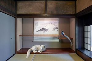 Karen Knorr