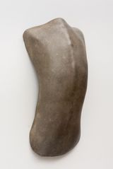 Carapace 5 by Julie Rrap contemporary artwork sculpture