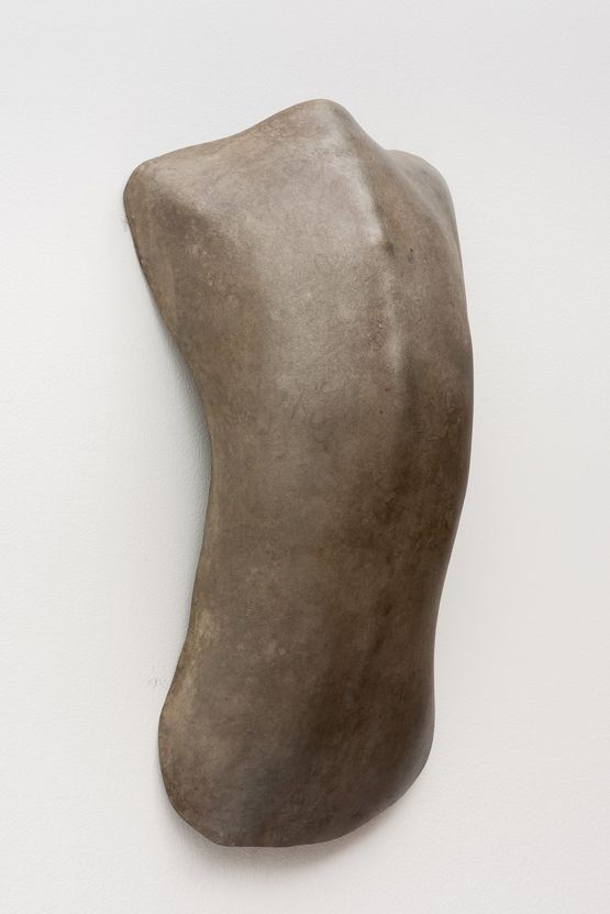 Carapace 5 by Julie Rrap contemporary artwork Sculpture