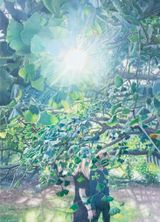 Ginkgo Garden by Vibeke Slyngstad contemporary artwork painting