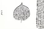 Bodhi by Tianjin Ren contemporary artwork Works on Paper