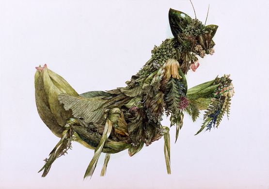 Grass Mantis ed.30 by Ikeda Manabu contemporary artwork Print