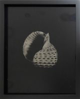 Etherized objects 74 by Raena Abella contemporary artwork photography