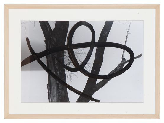 2019-SS-167-F002 by Birdhead contemporary artwork Photography