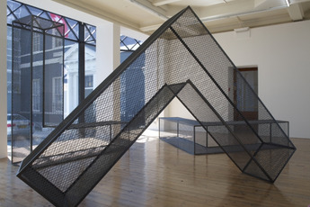 Robert Morris contemporary artist