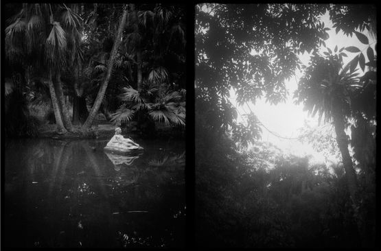 A statue in a pond and sky seen through palm trees. Botanical Garden of Hamma Algiers Algeria by Tomoko Yoneda contemporary artwork Photography